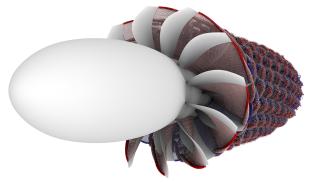 Rotation of turbulent flow